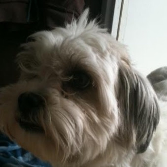 Meet your Posher, Judy - Picture 1 of 1